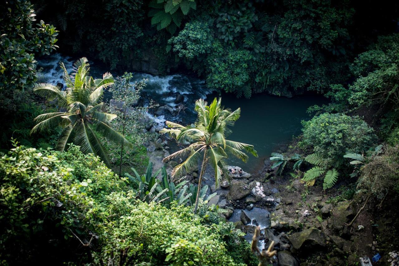 Villa Kalisat Resort Ubud Kültér fotó
