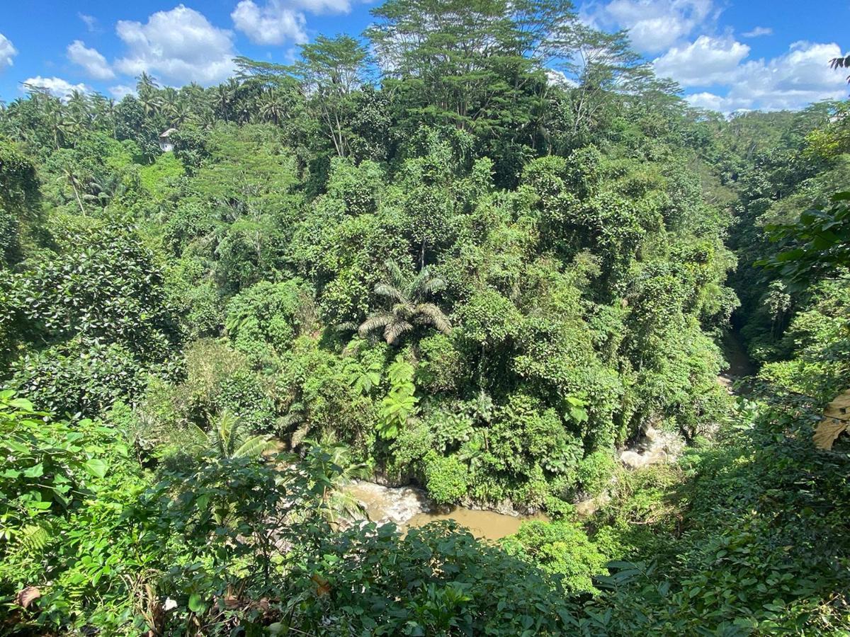 Villa Kalisat Resort Ubud Kültér fotó