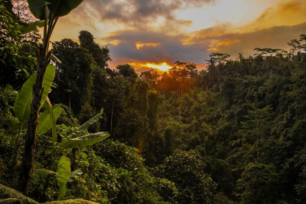 Villa Kalisat Resort Ubud Kültér fotó