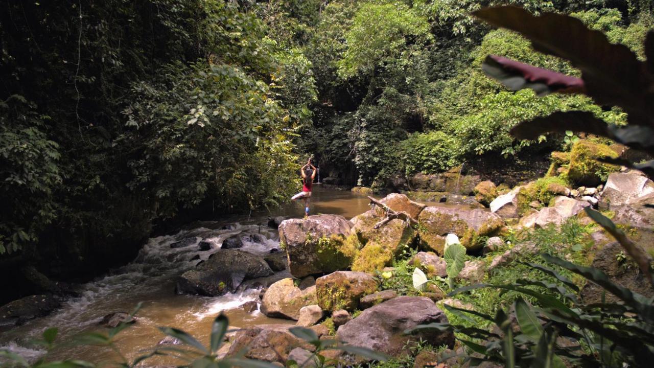 Villa Kalisat Resort Ubud Kültér fotó